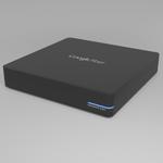 The Google Fiber Network Box (GFRG110) router with 300mbps WiFi, 4 N/A ETH-ports and
                                                 0 USB-ports