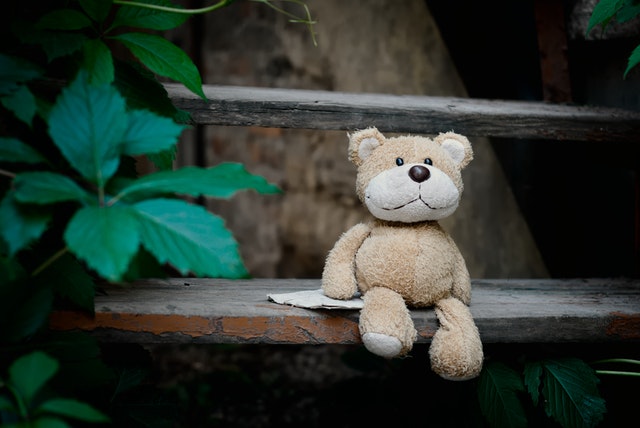 a teddy bear